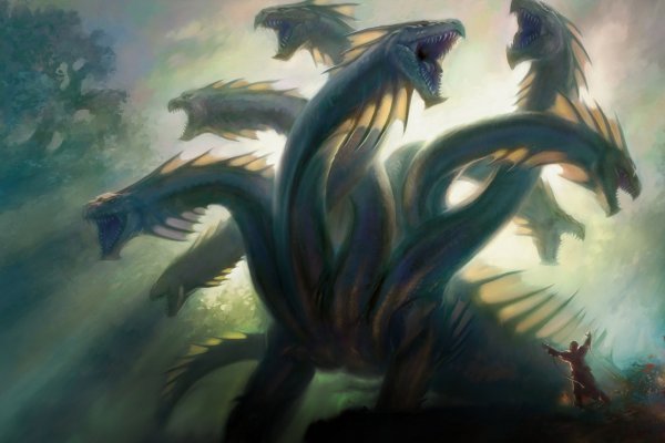 Kraken 17 at net