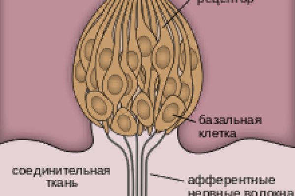 Кракен маркетплейс про