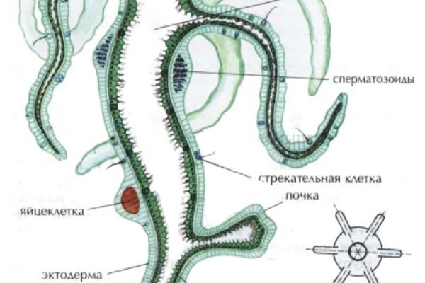 Как восстановить аккаунт в кракен