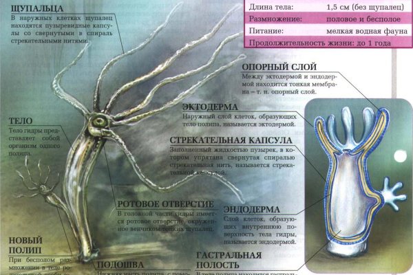 Кракен площадка нарко