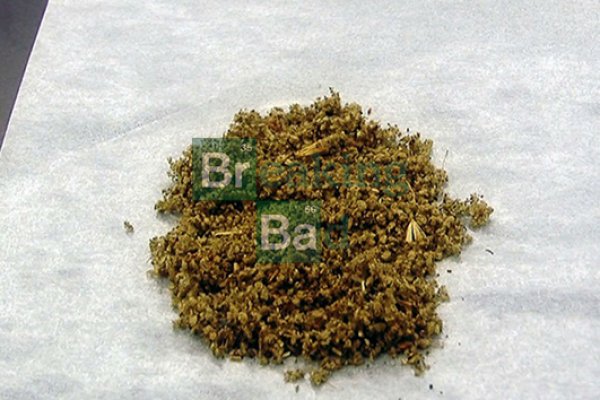 Кракен лег