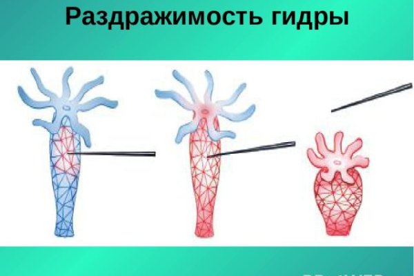 Где найти ссылку на кракен