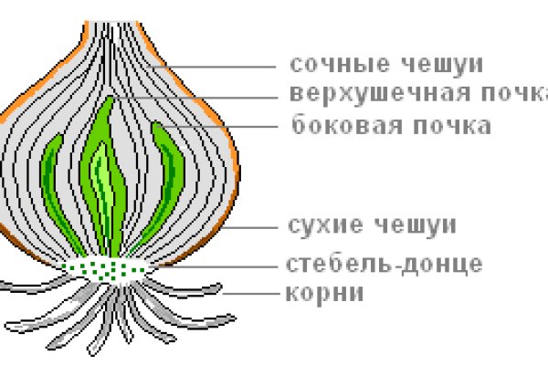 Kraken официальный сайт вход